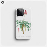 Aloe Arborescens (Candelabra Aloe) - ピエール ジョゼフ ルドゥーテ Phone Case.