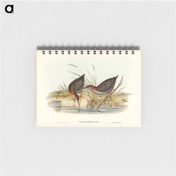 Lewin's Water Rail
 - ジョン グールド Memo.