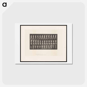 アートポストカード-Naked Woman Ascending
 - エドワード マイブリッジ Postcard.