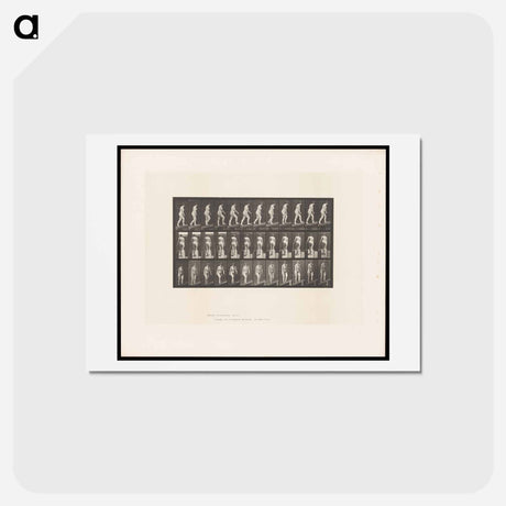 アートポストカード-Naked Woman Ascending
 - エドワード マイブリッジ Postcard.