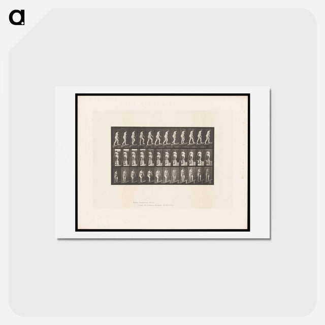 アートポストカード-Naked Woman Ascending
 - エドワード マイブリッジ Postcard.