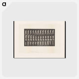 アートポストカード-Naked Woman Ascending
 - エドワード マイブリッジ Postcard.