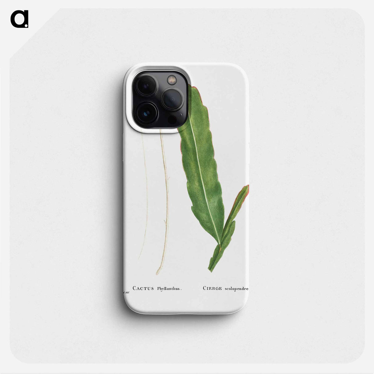 Cactus Phyllanthus (Climbing Cactus) - ピエール ジョゼフ ルドゥーテ Phone Case.