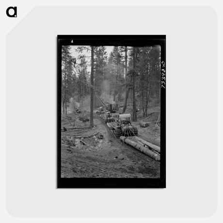 アートポストカード-Logging in Malheur National Forest
 - ラッセル リー Postcard.