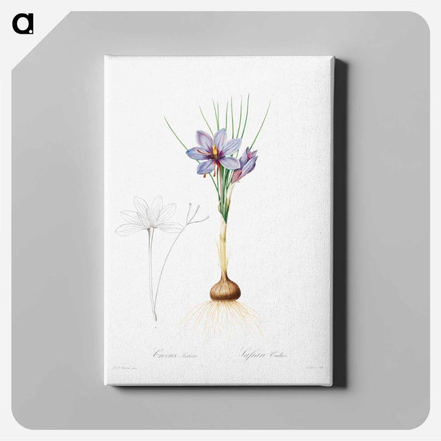 アートパネル-Crocus Sativus
 - クリーブランド美術館 Canvas.