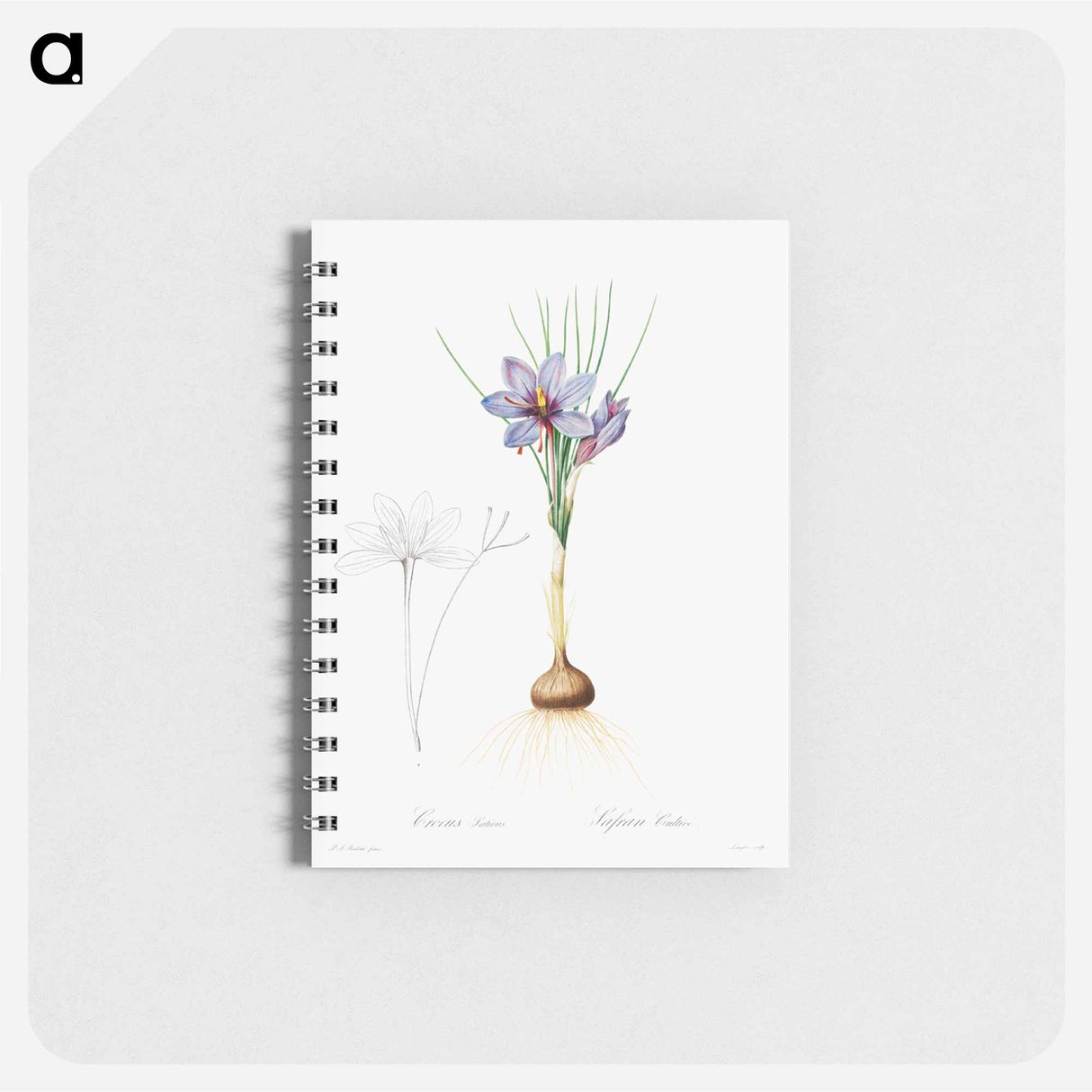 アートメモ帳-Crocus Sativus
 - クリーブランド美術館 Memo.