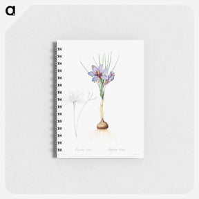 アートメモ帳-Crocus Sativus
 - クリーブランド美術館 Memo.