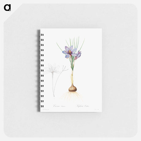アートメモ帳-Crocus Sativus
 - クリーブランド美術館 Memo.