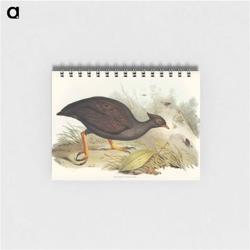 Mound-raising Megapode
 - ジョン グールド Memo.