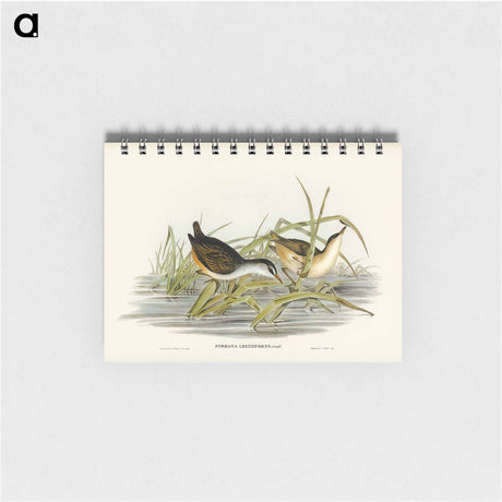 アートメモ帳-White-eyebrowed Water Crake
 - オーストラリアの鳥 Memo.