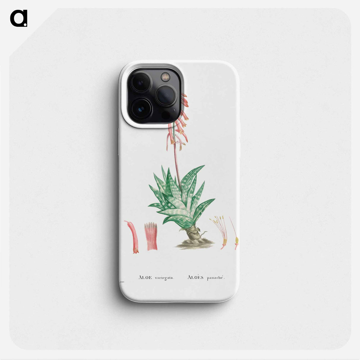 Aloe Variegata (Tiger Aloe) - Pierre Joseph Redouté Phone Case.