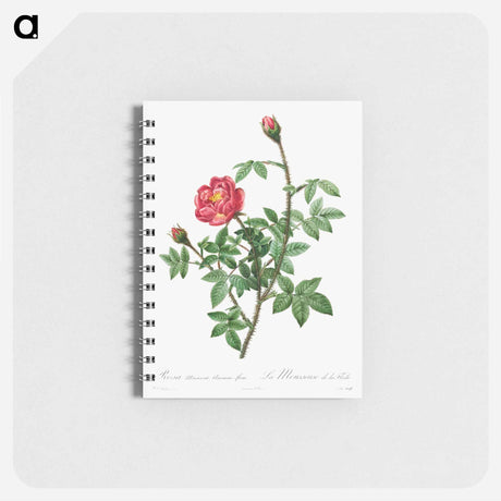 アートメモ帳-Moss Rose
 - クリーブランド美術館 Memo.