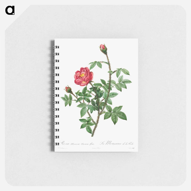アートメモ帳-Moss Rose
 - クリーブランド美術館 Memo.