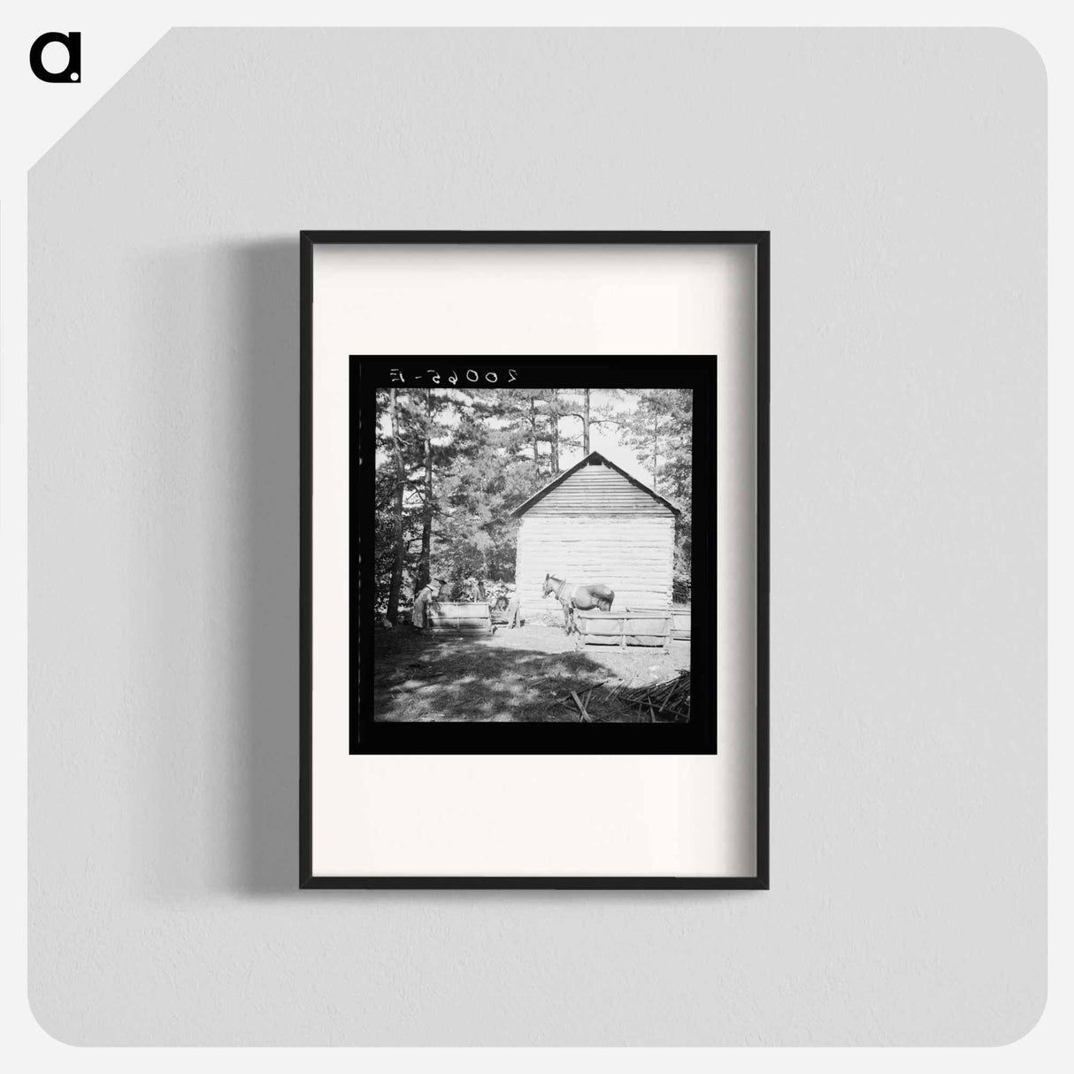 Untitled photo, possibly related to: Young son of tenant farmer gathering sticks for workers to string tobacco on. Granville County, North Carolina - ドロテア ラング Poster.