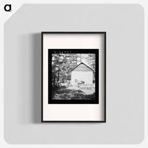 アートポスター-Untitled photo, possibly related to: Young son of tenant farmer gathering sticks for workers to string tobacco on. Granville County, North Carolina - ドロテア ラング Poster.