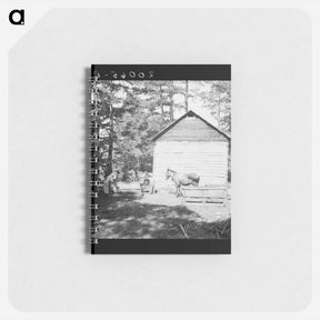 アートメモ帳-Untitled photo, possibly related to: Young son of tenant farmer gathering sticks for workers to string tobacco on. Granville County, North Carolina - ドロテア ラング Memo.