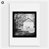 Untitled photo, possibly related to: Young son of tenant farmer gathering sticks for workers to string tobacco on. Granville County, North Carolina - Dorothea Lang Poster.