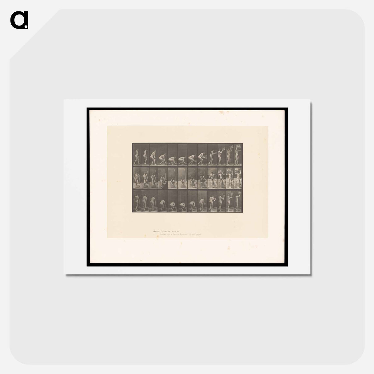 アートポストカード-Basket Bearer
 - エドワード マイブリッジ Postcard.