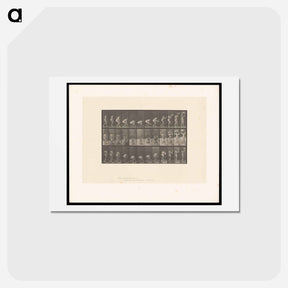 アートポストカード-Basket Bearer
 - エドワード マイブリッジ Postcard.