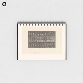 アートメモ帳-Basket Bearer
 - エドワード マイブリッジ Memo.