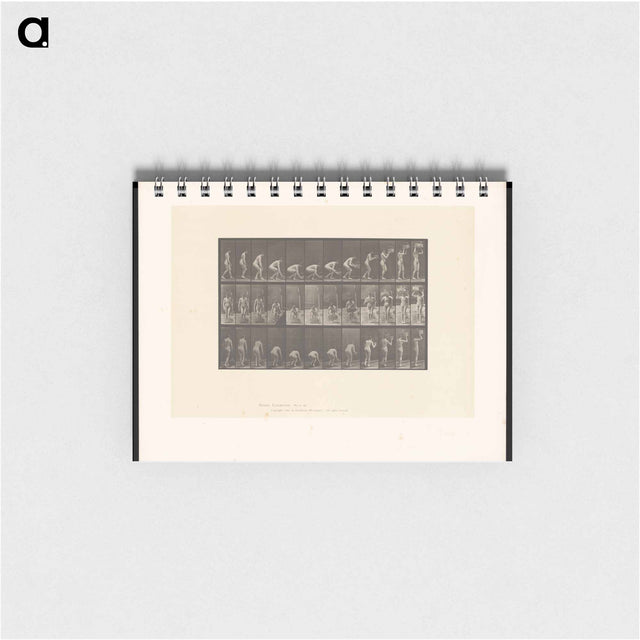 アートメモ帳-Basket Bearer
 - エドワード マイブリッジ Memo.
