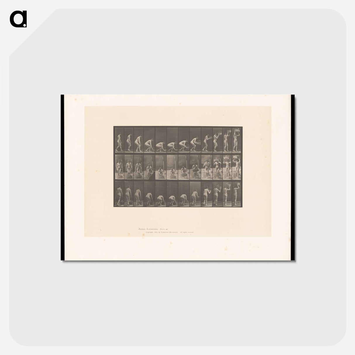 アートポストカード-Basket Bearer
 - エドワード マイブリッジ Postcard.