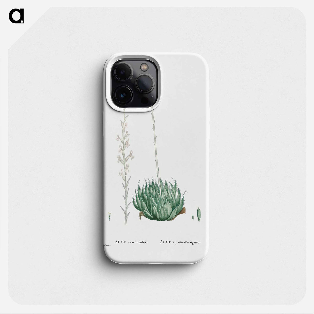 Aloe Arachnoides (Cobweb Aloe) - ピエール ジョゼフ ルドゥーテ Phone Case.