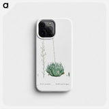 Aloe Arachnoides (Cobweb Aloe) - Pierre Joseph Redouté Phone Case.