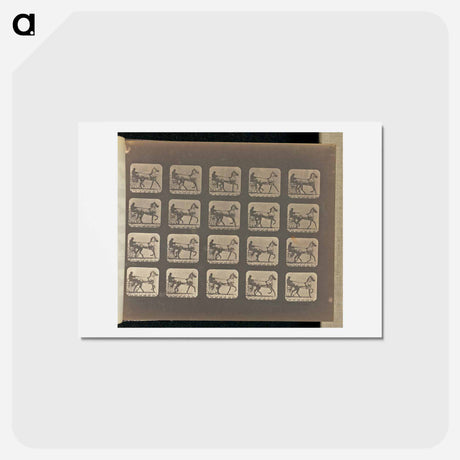 アートポストカード-Trotting
 - エドワード マイブリッジ Postcard.