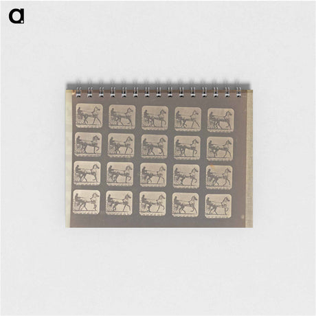 アートメモ帳-Trotting
 - エドワード マイブリッジ Memo.