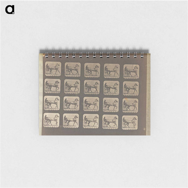 アートメモ帳-Trotting
 - エドワード マイブリッジ Memo.