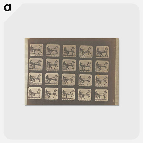 アートポストカード-Trotting
 - エドワード マイブリッジ Postcard.