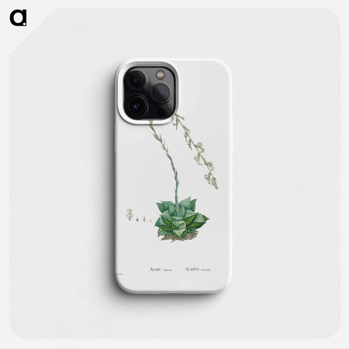 Aloe Retusa (Star Cactus) - ピエール ジョゼフ ルドゥーテ Phone Case.