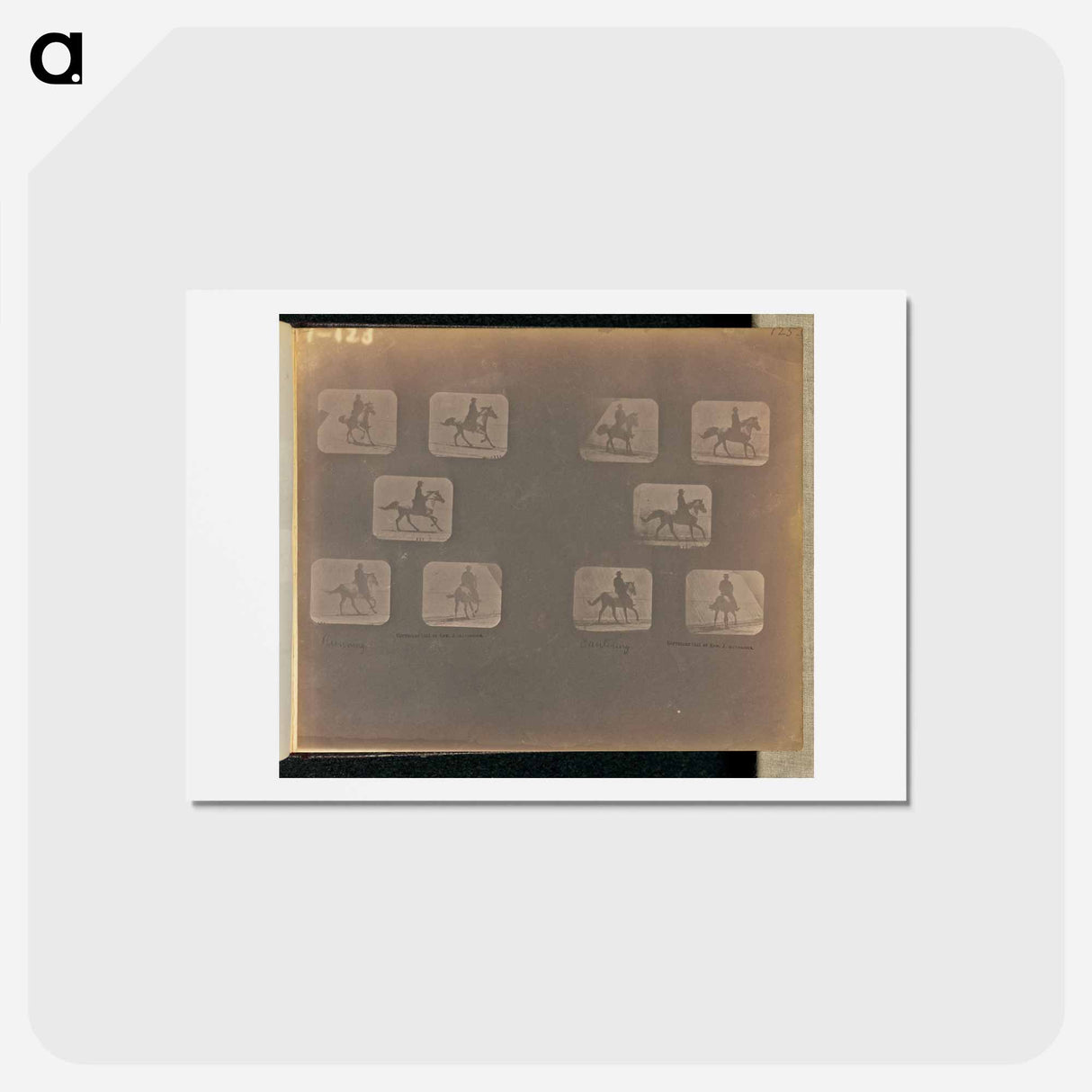 アートポストカード-Running. Cantering
 - エドワード マイブリッジ Postcard.