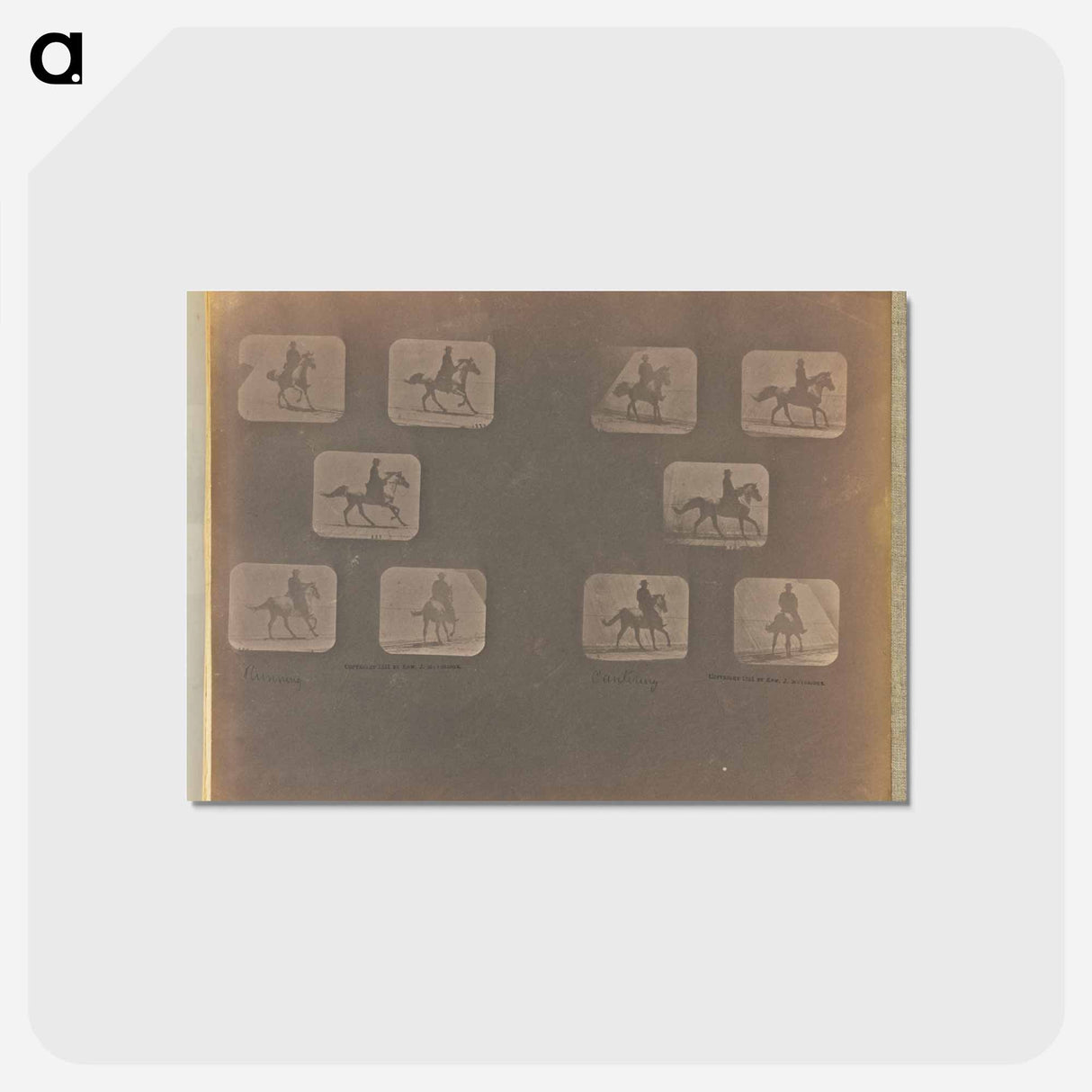 アートポストカード-Running. Cantering
 - エドワード マイブリッジ Postcard.