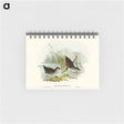 アートメモ帳-Water Crake
 - オーストラリアの鳥 Memo.