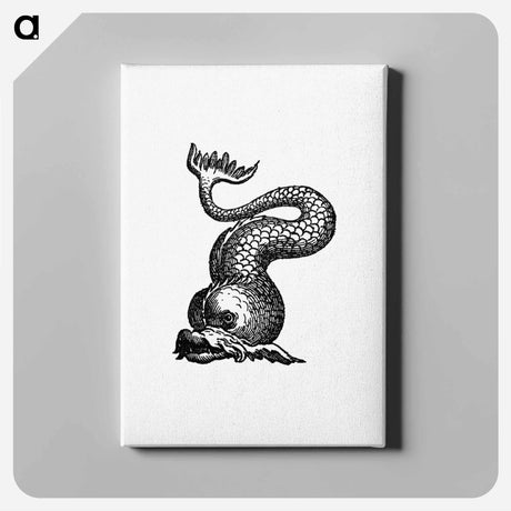 アートパネル-Aquatic Creature from Real Sailor-Songs
 - 大英図書館 Canvas.