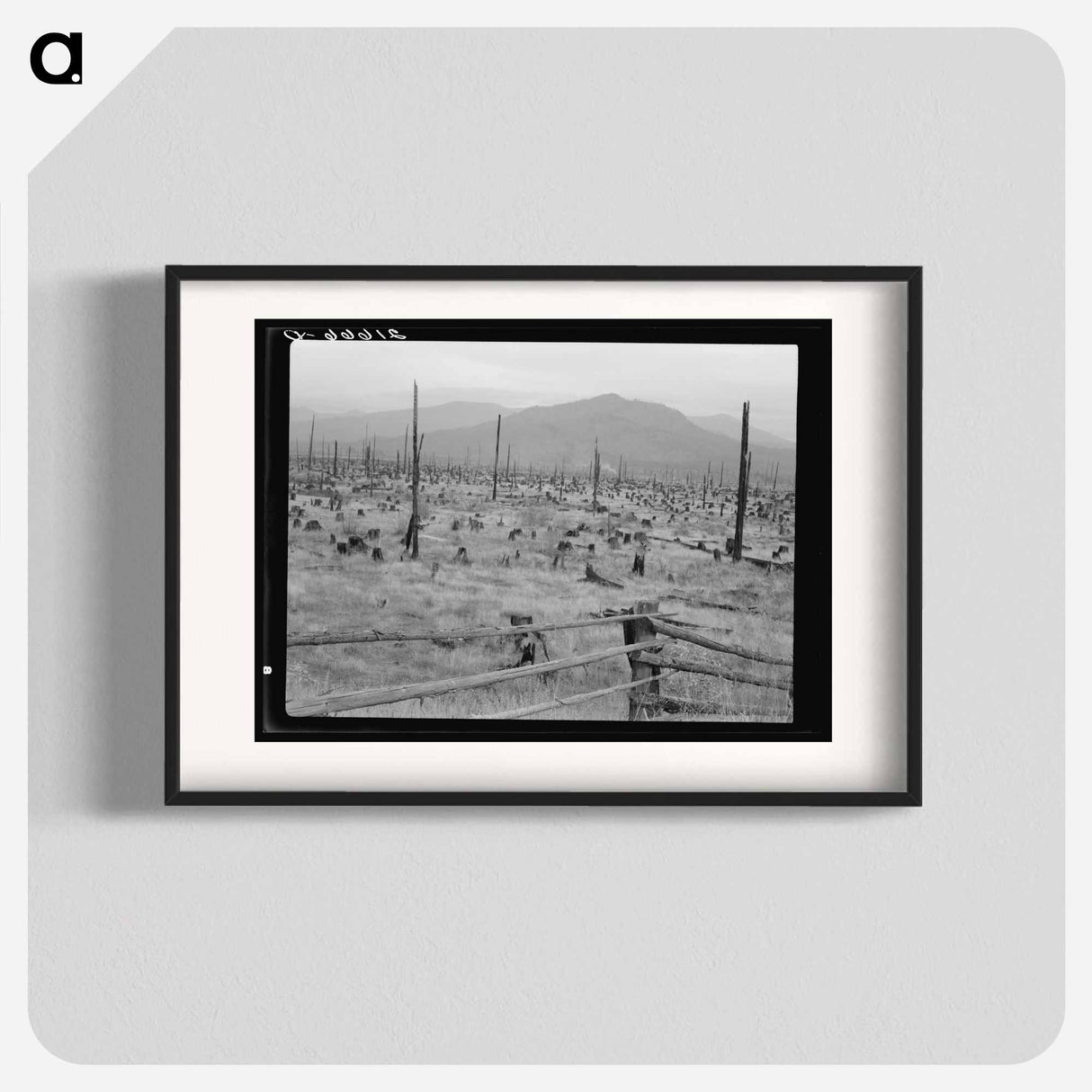 Untitled photo - Dorothea Lange Poster.
