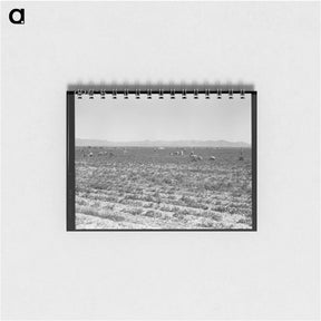 アートメモ帳-Untitled photo - ドロテア ラング Memo.
