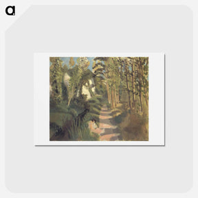 アートポストカード-La Robe Blanche, Bords Du Loup - アンリ マティス Postcard.