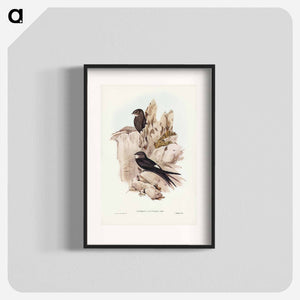 オーストラリア