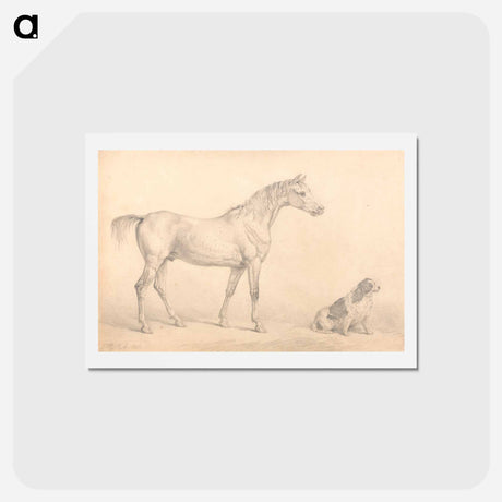 アートポストカード-Portraits of a Gray Horse and a Black and White Spaniel
 - イェール大学アートギャラリー Postcard.
