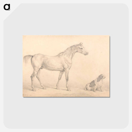 アートポストカード-Portraits of a Gray Horse and a Black and White Spaniel
 - イェール大学アートギャラリー Postcard.
