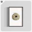 アートポスター-Nest and Eggs from Travel And Research In Algeria
 - 大英図書館 Poster.