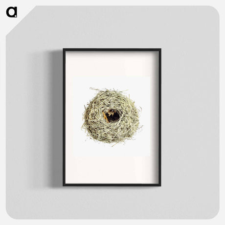 アートポスター-Nest and Eggs from Travel And Research In Algeria
 - 大英図書館 Poster.