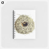 アートメモ帳-Nest and Eggs from Travel And Research In Algeria
 - 大英図書館 Memo.