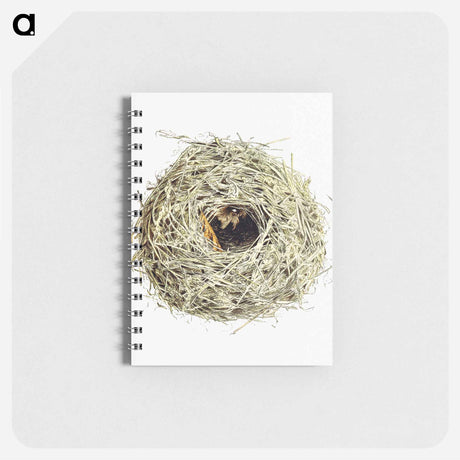 アートメモ帳-Nest and Eggs from Travel And Research In Algeria
 - 大英図書館 Memo.