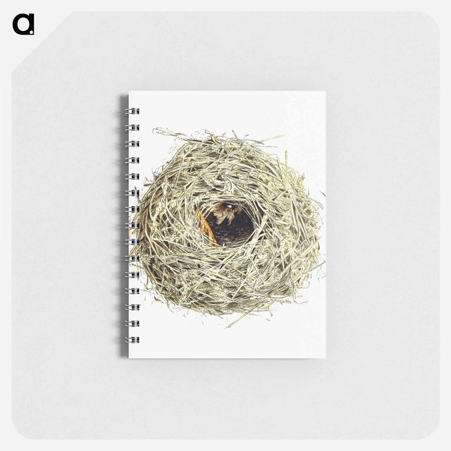 アートメモ帳-Nest and Eggs from Travel And Research In Algeria
 - 大英図書館 Memo.