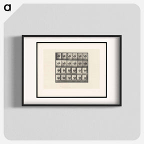 アートポスター-Running Ostrich
 - エドワード マイブリッジ Poster.