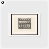 アートポストカード-Running Ostrich
 - エドワード マイブリッジ Postcard.